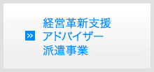 経営革新支援アドバイザー派遣事業