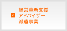 経営革新支援アドバイザー派遣事業