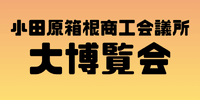小田原箱根大博覧会 小田原箱根大博覧会